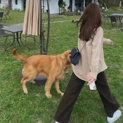 悬疑片